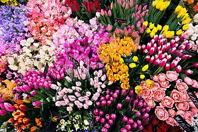 玩天堂2m欧美服多开独享ip加速器推荐